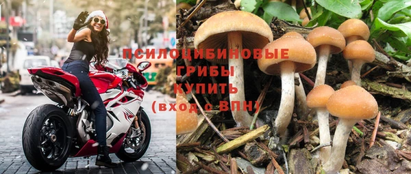 скорость Алзамай